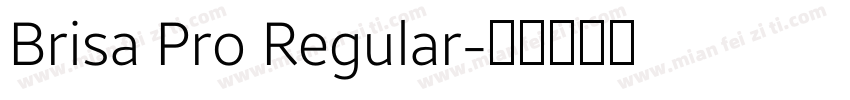 Brisa Pro Regular字体转换